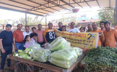 जैन सोशल ग्रुप महानगर द्वारा गौ सेवा