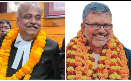 अनिल बने इलाहाबाद हाईकोर्ट बार एसोसिएशन के अध्यक्ष , विक्रांत महासचिव