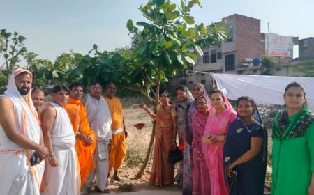 जीव दया हेतु पक्षियों के लिए लगाये परिण्डे