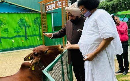 आचार्य लोकेश ने विश्व मे भारत देश व संस्कृति का गौरव बढ़ाया है – उत्तराखंड राज्यपाल