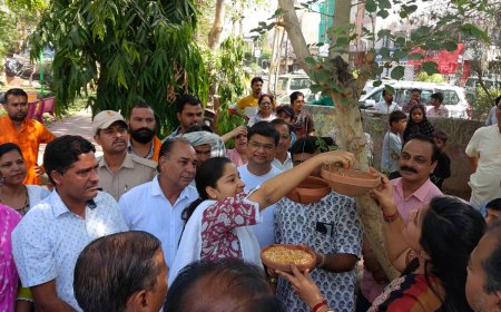 महापौर डॉ. सौम्या गुर्जर ने पक्षियों के लिये बाधे परिण्डे