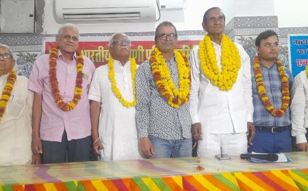 अखिल भारतीय नाटाणी परिवार समिति राष्ट्रीय अध्यक्ष,महामंत्री कोषाध्यक्ष निर्विरोध निर्वाचित