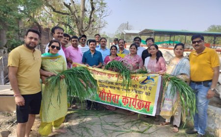 जे एस जी महानगर सोशल ग्रुप ने की मासिक गौ सेवा