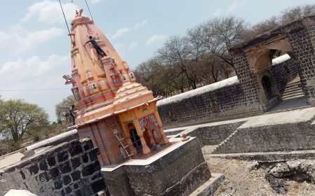 पर्यावरण संरक्षण के लिए ग्राम संसद द्वारा चलाया जा रहा अभियान