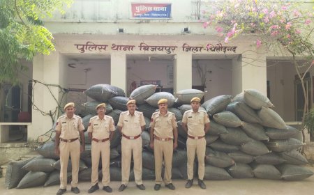 2 करोड़ कीमत का 12 क्विंटल 34 किलो अवैध अफीम डोडा चुरा जप्त