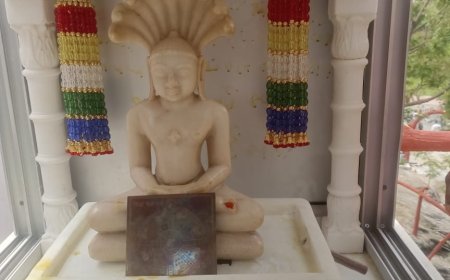 तीर्थ सम्मेद शिखर विद्यासागर तपोवन में हुए विराजमान पार्श्वनाथ भगवान