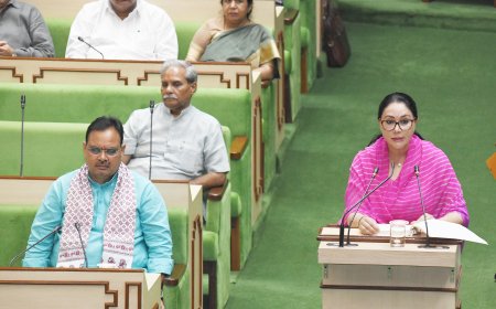 सशक्त समृद्ध राजस्थान-विकास की नई उड़ान बजट 2024