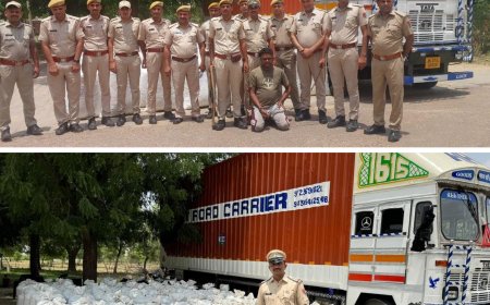 डाक पार्सल लिखवा की आड़ में 5 करोड़ रुपए कीमत का डोडा पोस्त छिलका सहित कंटेनर जब्त