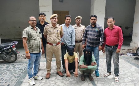 चन्दन के पेड़ चोरी करने वाली गैंग का किया पर्दाफाश