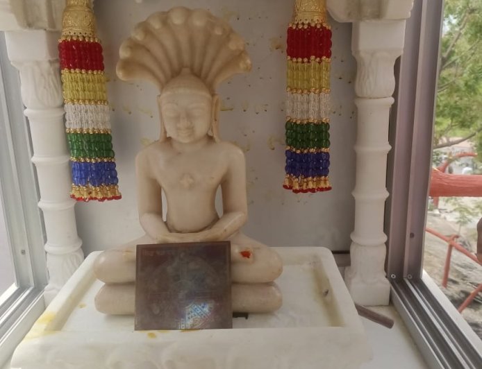 तीर्थ सम्मेद शिखर विद्यासागर तपोवन में हुए विराजमान पार्श्वनाथ भगवान