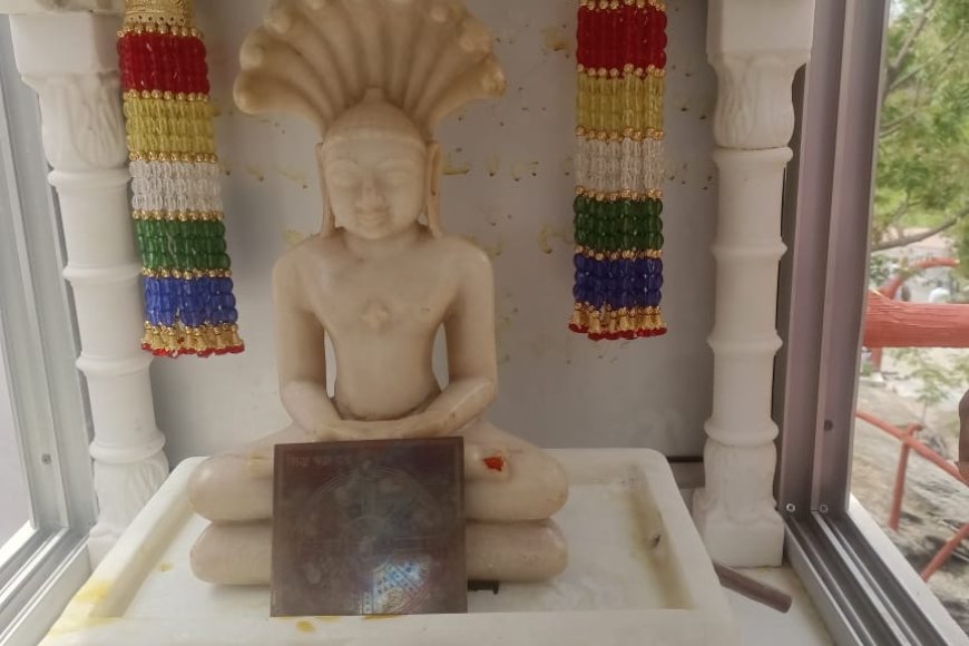 तीर्थ सम्मेद शिखर विद्यासागर तपोवन में हुए विराजमान पार्श्वनाथ भगवान