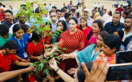 पेड़ लगाकर हम क्लाइमेट चेंज के दुष्परिणामों को रोक सकते हैं : उपमुख्यमंत्री दीया कुमारी