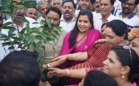 नगर निगम ग्रेटर द्वारा आयोजित किया गया पौधारोपण कार्यक्रम