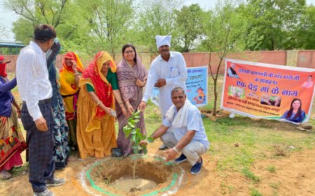 जिला प्रमुख ने भी पौधारोपण कर दिया पर्यावरण संरक्षण का संदेश