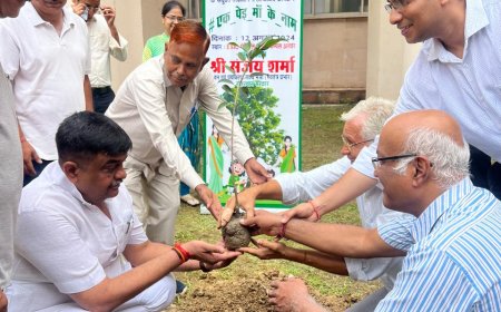 प्राकृतिक सौन्दर्य में निखार लाने हेतु प्रत्येक व्यक्ति पौधारोपण करें- वन एवं पर्यावरण राज्यमंत्री