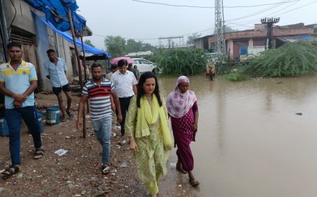 संभागीय आयुक्त ने किया जलभराव प्रभावित इलाकों का दौरा