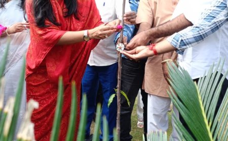 स्वच्छता योद्वाओं और वृक्षों को महापौर ने बांधी राखी