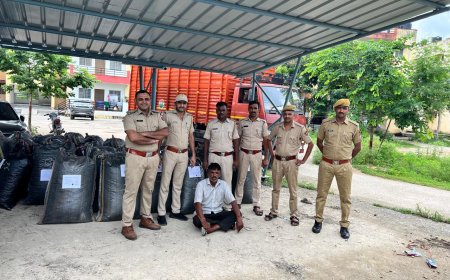 994 किलोग्राम अवैध डोडाचुरा सहित कंटेनर जब्त, चालक गिरफ्तार