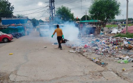 नगर निगम ग्रेटर द्वारा 28 अगस्त 2024 से 28 सितम्बर 2024 तक वार्ड स्तर पर फोगिंग अभियान