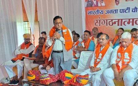 भाजपा में कार्यकर्ता संगठन की मजबूत कड़ीः- मदन राठौड़