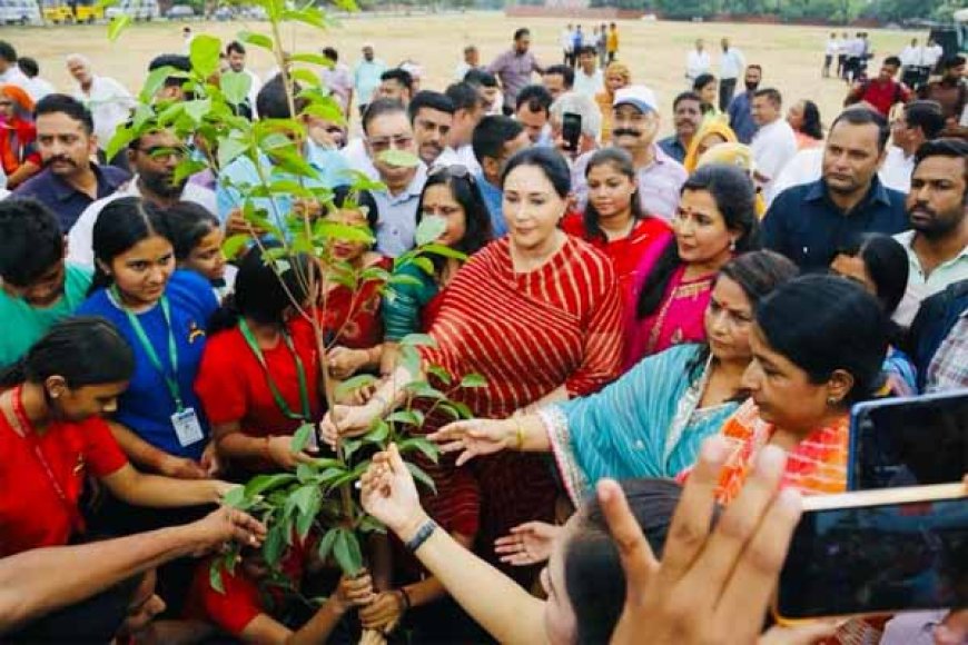 पेड़ लगाकर हम क्लाइमेट चेंज के दुष्परिणामों को रोक सकते हैं : उपमुख्यमंत्री दीया कुमारी