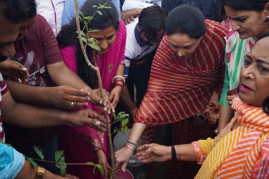 पेड़ लगाकर हम क्लाइमेट चेंज के दुष्परिणामों को रोक सकते हैं : उपमुख्यमंत्री दीया कुमारी