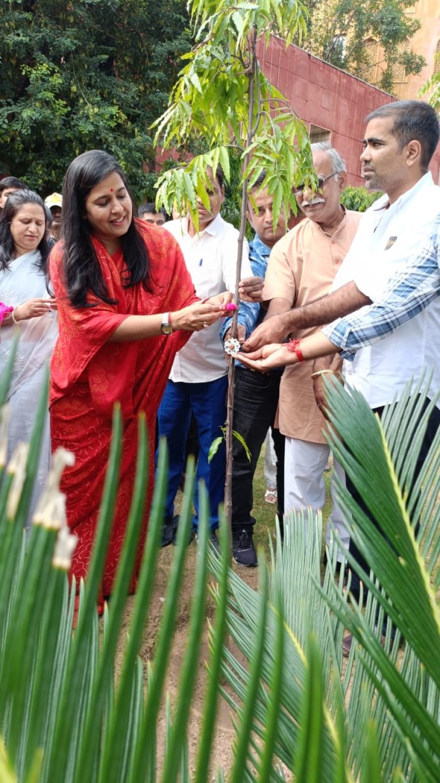 स्वच्छता योद्वाओं और वृक्षों को महापौर ने बांधी राखी