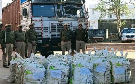 अवैध मादक पदार्थ तस्करी के खिलाफ बडी कार्रवाई