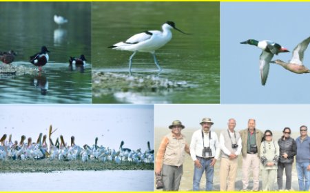 जयपुर बर्ड फेस्टिवल का हुआ भव्य समापन