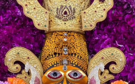 खाटूश्याम बाबा का बैंगनी-सफेद फूलों से हुआ श्रृंगार