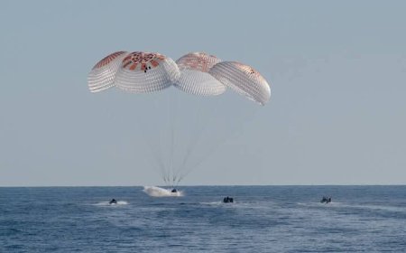 जय हो.....धरती पर लौटी अंतरिक्ष परी' सुनीता विलियम्स