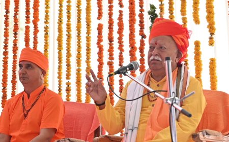 दुनिया प्रेम और मंगल की भाषा भी तब ही सुनती है, जब आपके पास शक्ति हो- डॉ. भागवत