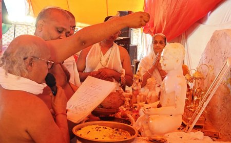 जयकारों के साथ नवीन वेदी पर विराजमान हुए भगवान