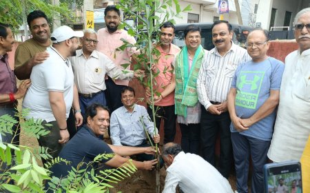 मुख्यमंत्री के आह्वान पर वार्ड 70 में पौधारोपण