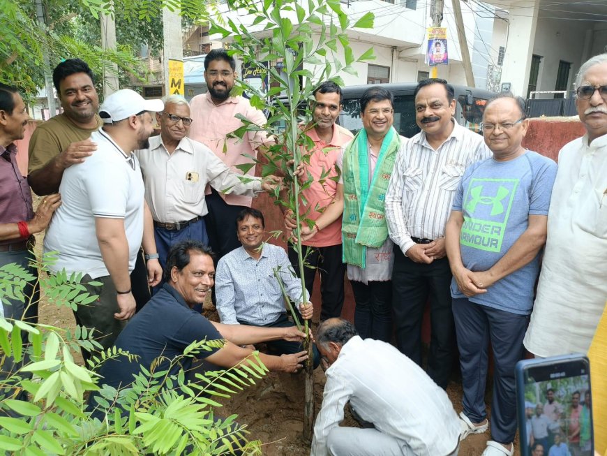 मुख्यमंत्री के आह्वान पर वार्ड 70 में पौधारोपण