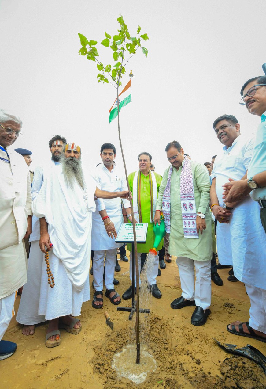 हरियाली तीज पर जयपुर जिला प्रशासन ने कायम किया पौधारोपण का रिकॉर्ड