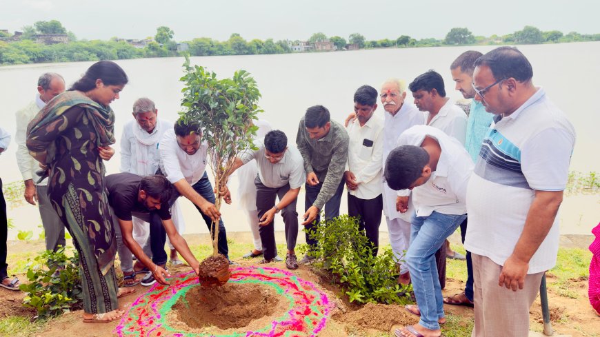 हरियाली तीज पर जयपुर जिला प्रशासन ने कायम किया पौधारोपण का रिकॉर्ड