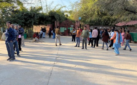 वन्यजीवों के दीदार के लिए उमड़ा सैलानियों का सैलाब