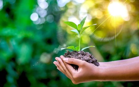 वैधानिक पर्यावरणीय मानकों पर किसी भी प्रकार का समझौता नहीं