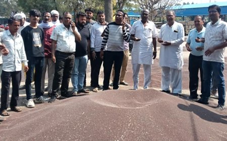 कृषि उपज मण्डी में सरसों की बम्पर आवक