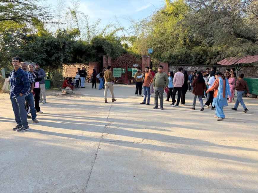 वन्यजीवों के दीदार के लिए उमड़ा सैलानियों का सैलाब