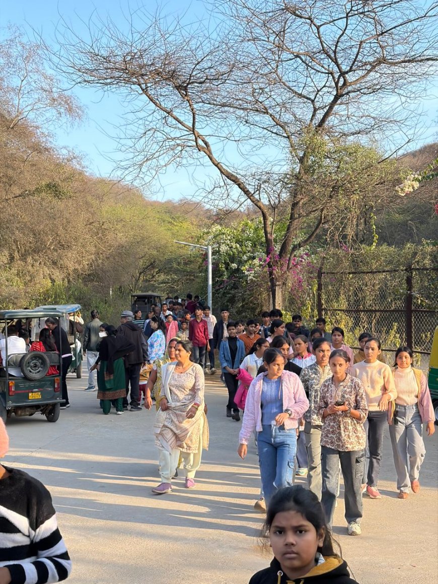 वन्यजीवों के दीदार के लिए उमड़ा सैलानियों का सैलाब