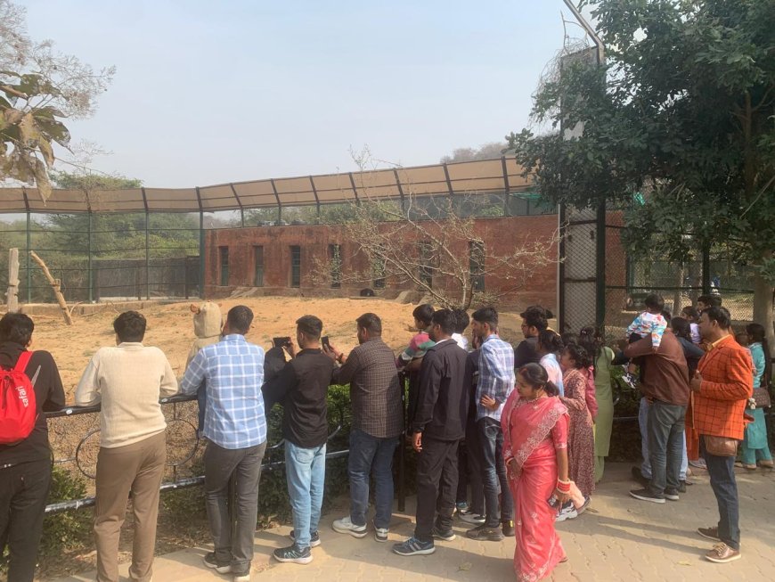 नाहरगढ़ जैविक उद्यान में उमड़ा सैलानियों का सैलाब