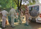 जयपुर रेंज में एरिया डोमिनेशन अभियान : आठ जिलों में पकड़े 754 बदमाश
