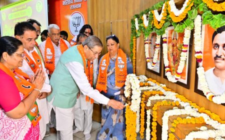 संगठन की ताकत समर्पित कार्यकर्ता : वसुंधरा राजे