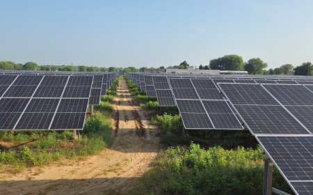 4 हजार मेगावाट के स्तर पर पहुंची पीएम-कुसुम परियोजनाएं