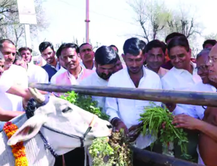 बेसहारा गायों के लिए हो रहा गोलोक धाम का निर्माण