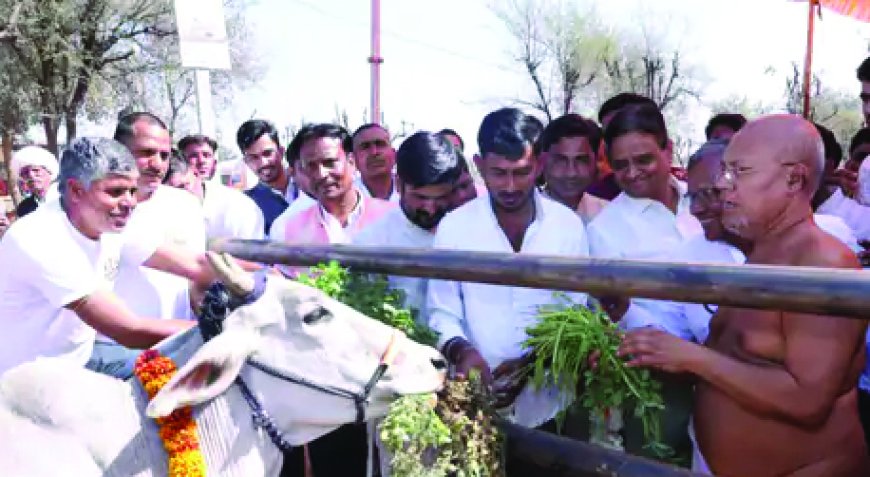 बेसहारा गायों के लिए हो रहा गोलोक धाम का निर्माण