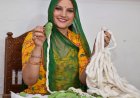 रेगिस्तान का ‘आक’ अब किसानों की आय का नया जरिया