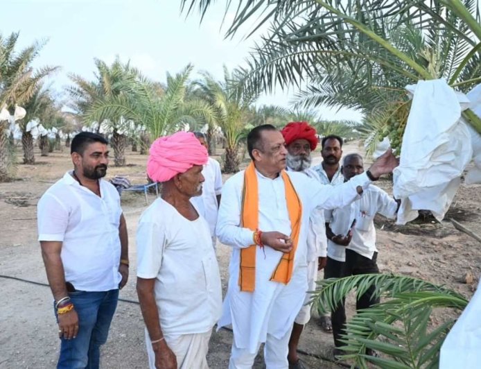 मरूभूमि में खजूर की खेती का कमाल